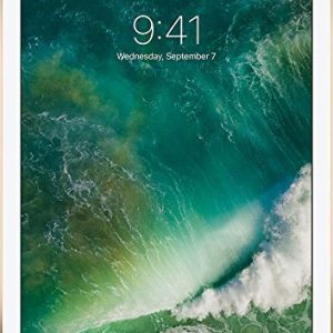 Apple iPad 9.7 (5e Génération) 32Go Wi-FI + Cellular - Or - Débloqué (Reconditionné)