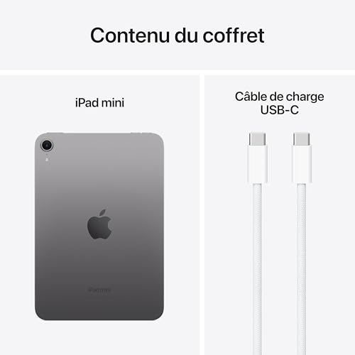 Apple iPad Mini (A17 Pro) : Écran Liquid Retina 8,3 Pouces, 128 Go, Wi-FI 6E, caméras Avant/arrière 12 Mpx, Touch ID, autonomie d’Une journée - Gris sidéral – Image 7