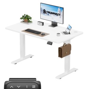 Bureau Assis Debout 120x60cm,Table Debout élévateur électrique avec 2 Hauteurs de mémoire, Trou de Passage, Hauteur de Bureau Réglable 71-119cm