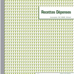 EXACOMPTA Manifold "Recettes-Dépenses" 297 x 210 mm 50 feuillets dupli