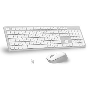 LeadsaiL Ensemble Clavier et Souris sans Fil, Ultra Mince and Silencieux Clavier AZERTY Français Pleine Taille 2.4G avec Récepteur USB pour PC, Ordinateur Portable, Windows, Mac - Blanc Gris