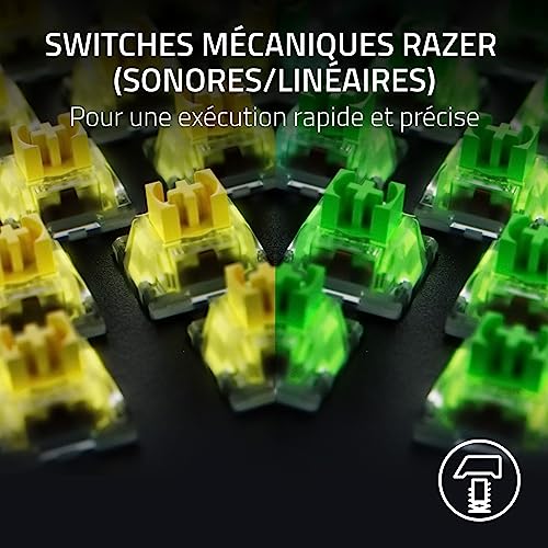 Razer BlackWidow V4 - Clavier Gaming Mécanique Chroma RGB - Snap Tap - Switches Mécaniques Verts (6 Touches Macros Dédiées, Touches ABS à Double Injection) Clavier AZERTY | Noir – Image 3