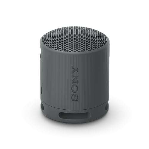 Sony SRS-XB100 - Enceinte sans Fil Bluetooth, Portable, légère, compacte, Durable, IP67, étanche à l'eau et à la poussière, Batterie 16H, dragonne Polyvalente, appels Mains Libres, Noir – Image 2