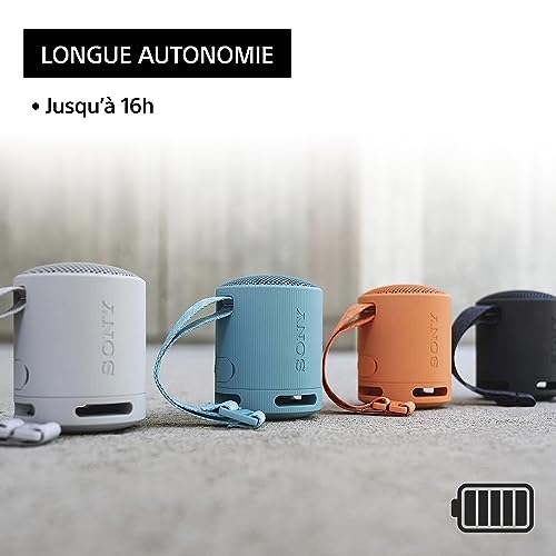 Sony SRS-XB100 - Enceinte sans Fil Bluetooth, Portable, légère, compacte, Durable, IP67, étanche à l'eau et à la poussière, Batterie 16H, dragonne Polyvalente, appels Mains Libres, Noir – Image 6