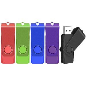 TEWENE Clé USB 8 Go Lot de 5, Clé USB 2.0 pour Le Transfert de Fichiers et Le Stockage de Données, avec Cordon et Autocollant
